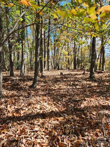 a backyard of a house with lots of trees