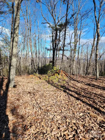 a view of covered with snow