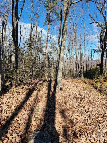 a view of a yard with wooden fence