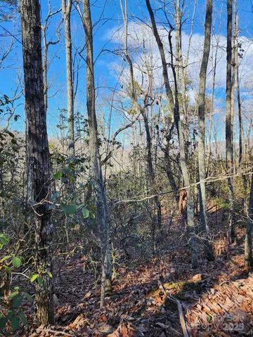 a backyard of a building