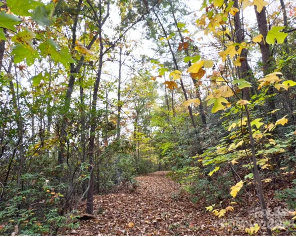a backyard of a house