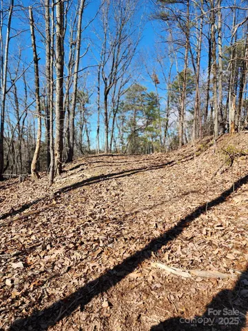 a view of a backyard of the house