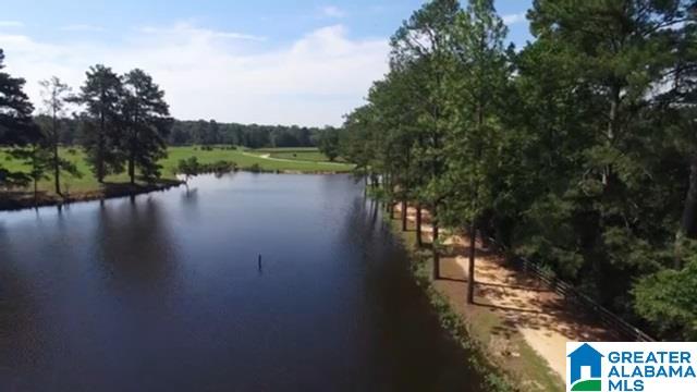 1854 Claud Fleahop Road, Unit 129 4 Eclectic, AL 36024 - Photo 1 of 50