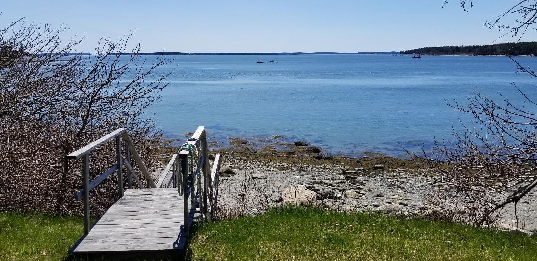 341 Flye Point Road Brooklin, ME 04616 - Photo 4 of 27 2