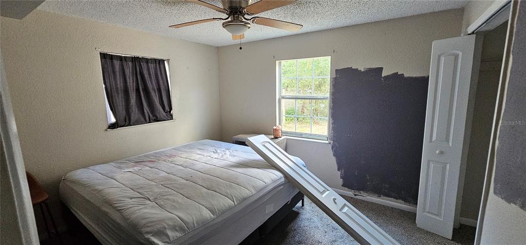 4375 Lindsey Loop Dover, FL 33527 - Photo 25 of 31