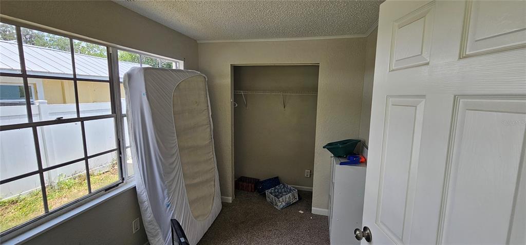 4375 Lindsey Loop Dover, FL 33527 - Photo 28 of 31