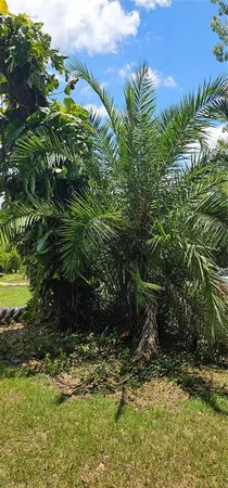 $230,000 | 4375 Lindsey Loop, Dover, FL 33527