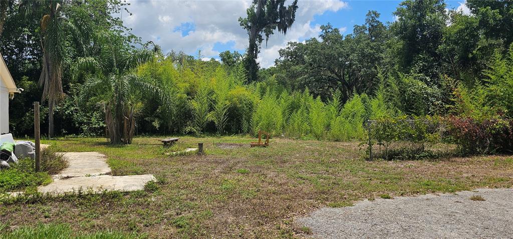 4375 Lindsey Loop Dover, FL 33527 - Photo 31 of 31