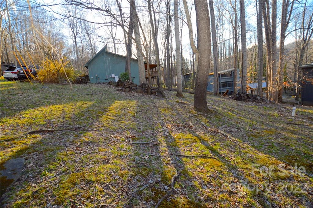 4 Blue Jay Loop Maggie Valley, NC 28751 - Photo 30 of 46 a view of a house with backyard and tree