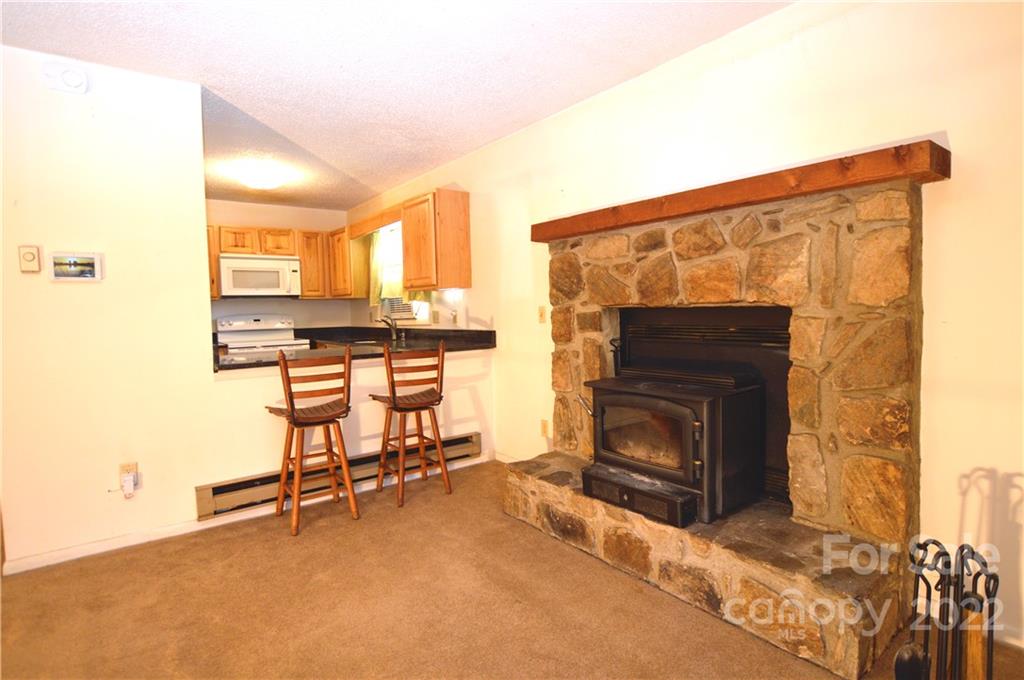 4 Blue Jay Loop Maggie Valley, NC 28751 - Photo 34 of 46 a living room with furniture and a fireplace