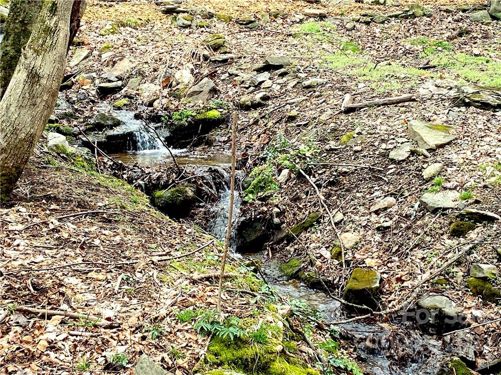 4 Blue Jay Loop Maggie Valley, NC 28751 - Photo 46 of 46