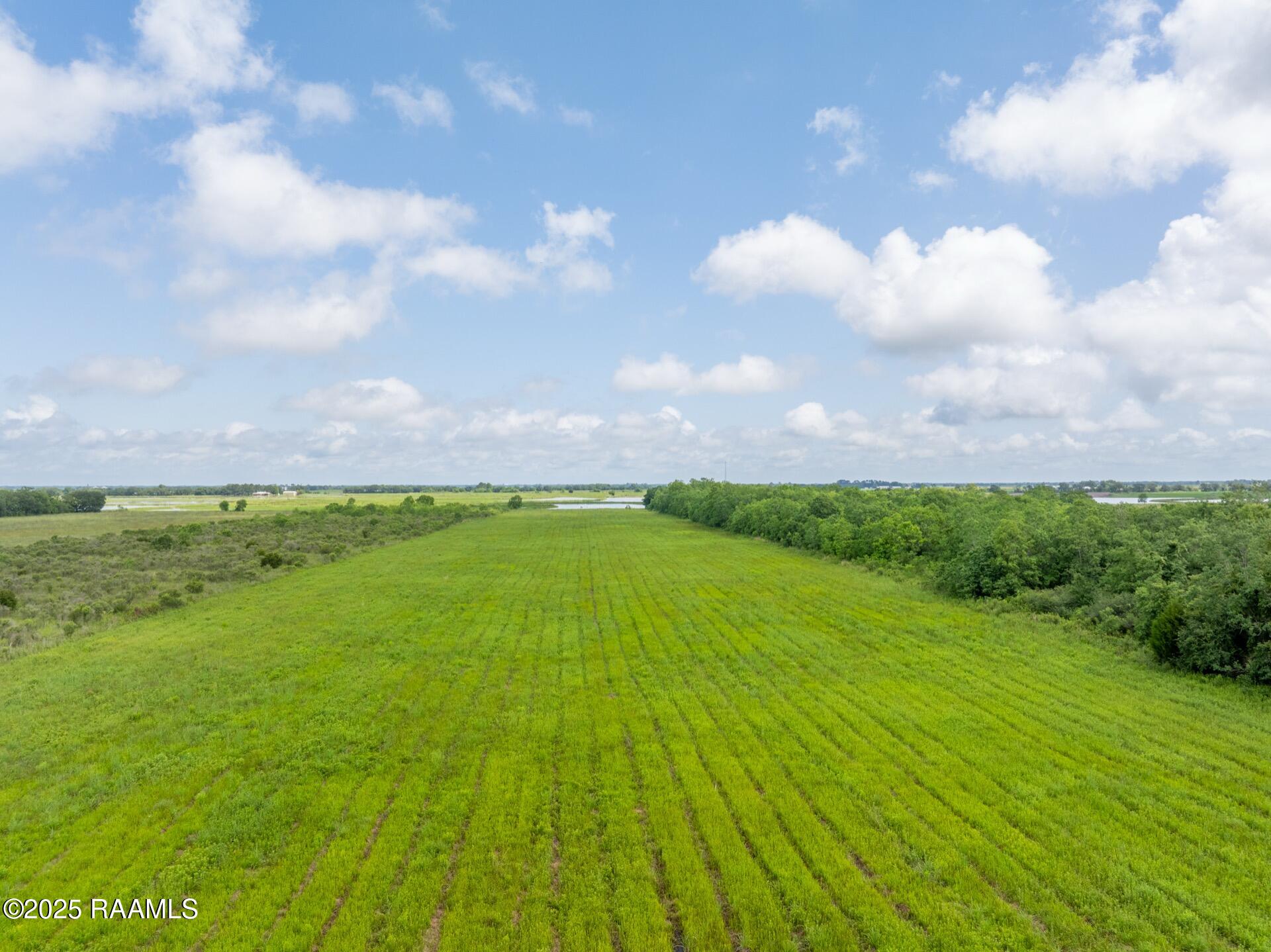 0 Simon Road Crowley, LA 70526 - Photo 11 of 13 TBDSimonRd-8