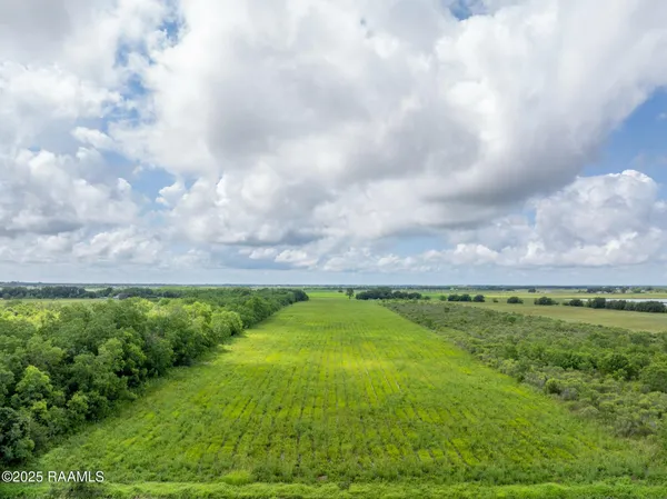 $99,000 | 0 Simon Road, Crowley, LA 70526