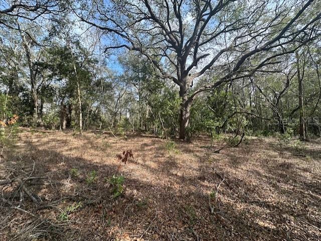 236 Northwest County Road Bell, FL 32619 - Photo 1 of 6 a view of a yard with trees
