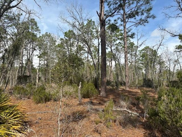 236 Northwest County Road Bell, FL 32619 - Photo 2 of 6 a view of a yard with trees