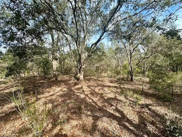 a view of outdoor space and a yard