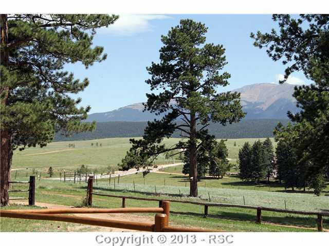 1122 NORTH Rd Divide Divide, CO 80814 - Photo 11 of 25 View of Pikes Peak and pastures