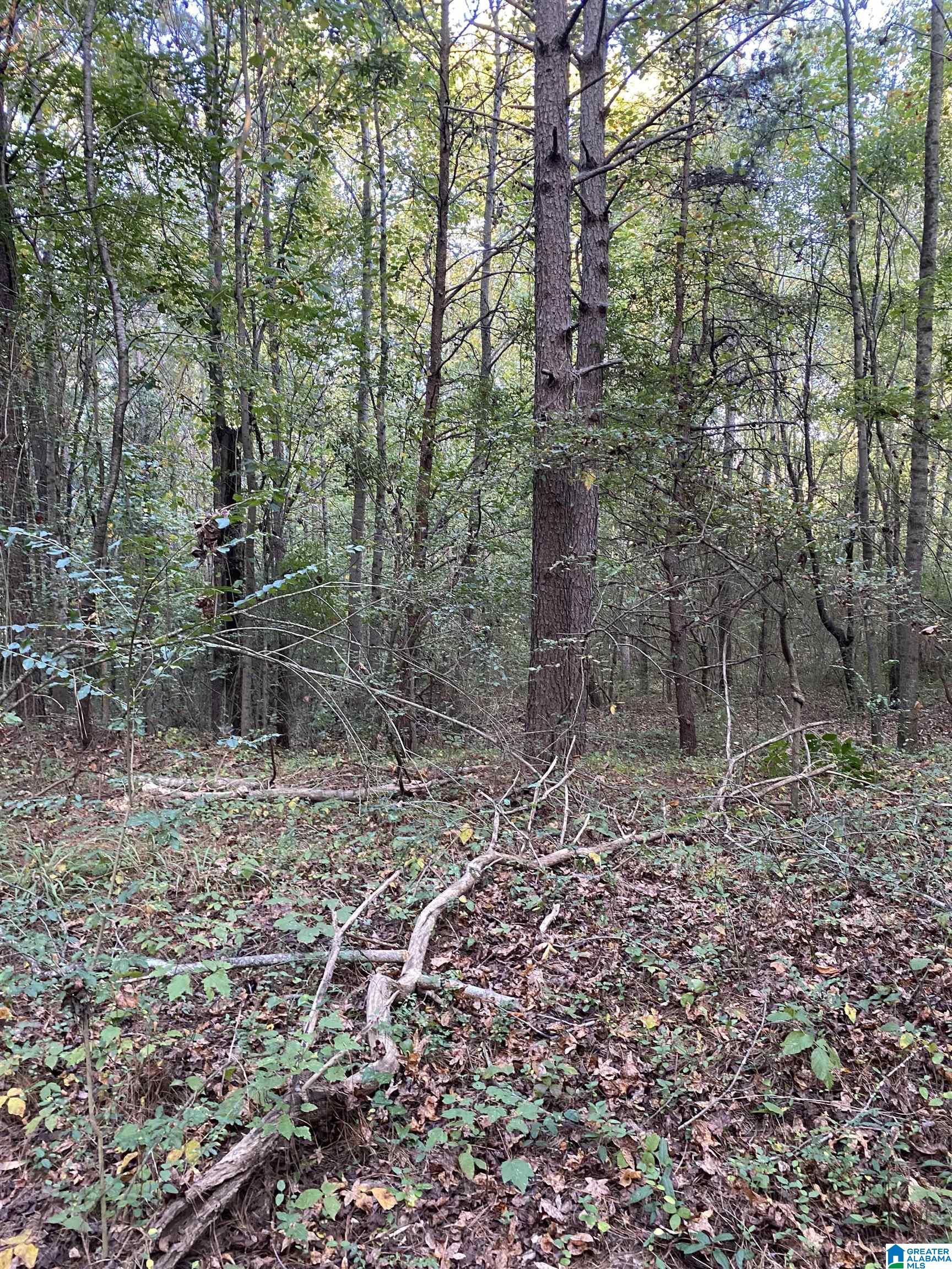 Lincoln Road, Unit 6 0 Cleveland, AL 35049 - Photo 6 of 12
