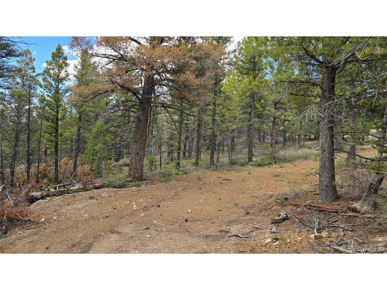 5825 Covington Road San Luis, CO 81152 - Photo 6 of 21 Gallery Image 6