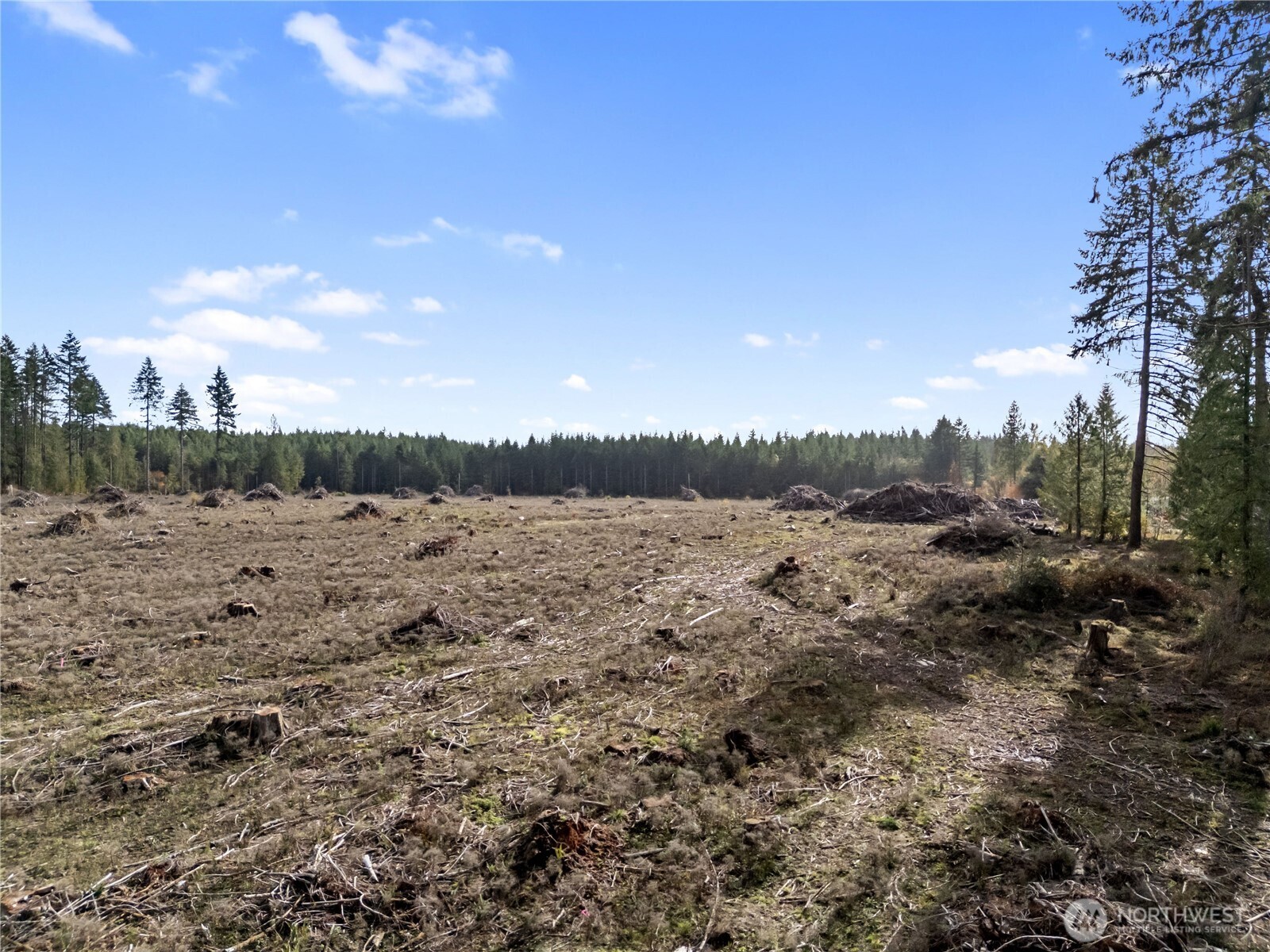 565 Meier Road Winlock, WA 98596 - Photo 3 of 26 a view of a lake view with houses
