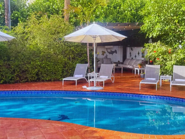 a view of a swimming pool with lawn chairs under an umbrella