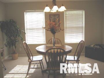 12864 Cruse Road Carterville, IL 62918 - Photo 7 of 11 Gallery Image 7