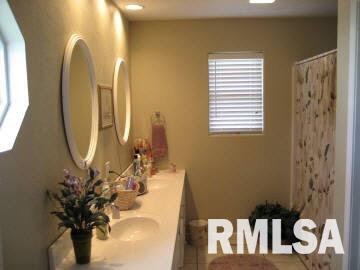 12864 Cruse Road Carterville, IL 62918 - Photo 10 of 11 Gallery Image 10
