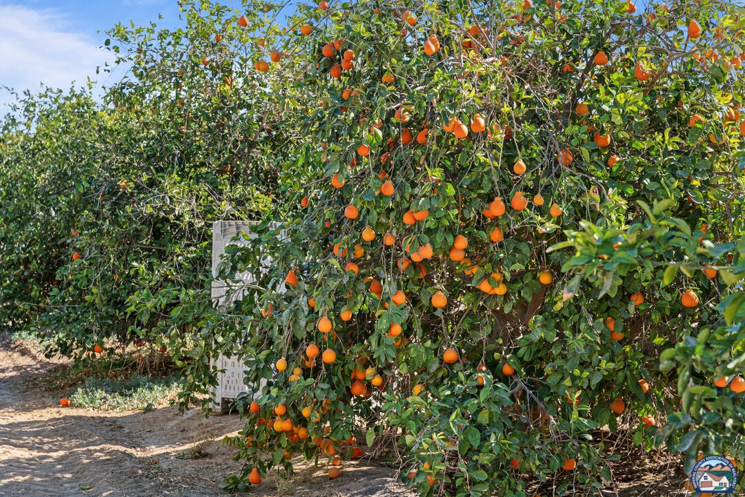 7704 Blair Road Calipatria, CA 92233 - Photo 37 of 44 Gallery Image 37