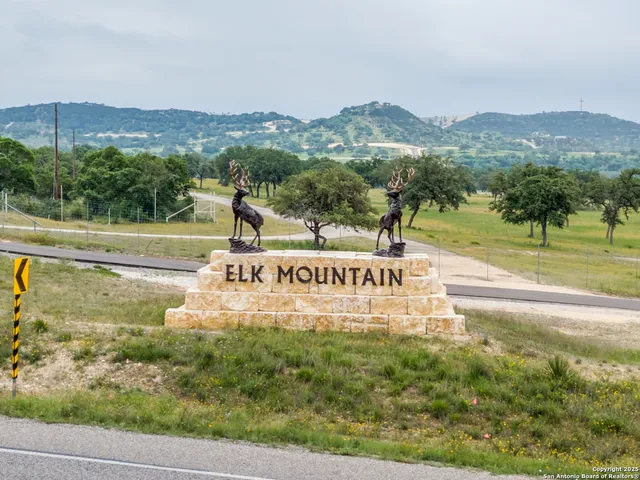 a view of a park with a mountain