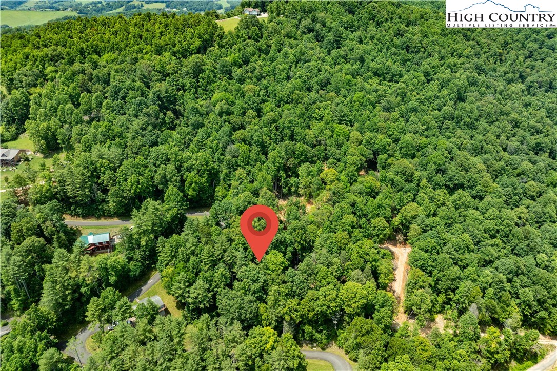 Lot 2 Lake Ridge Butler, TN 37640 - Photo 3 of 26
