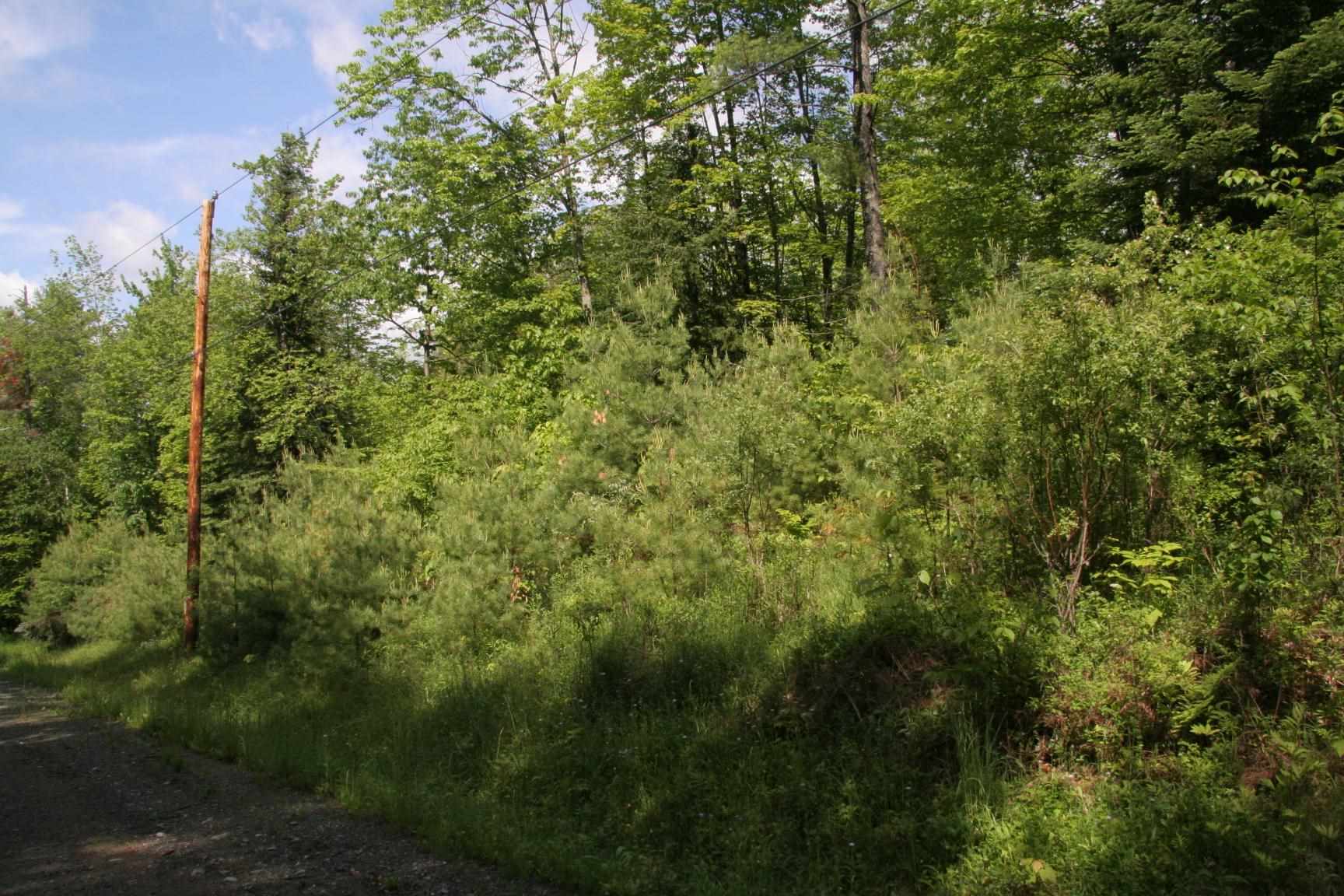 On Moore Dam Road Waterford, VT 05819 - Photo 7 of 11