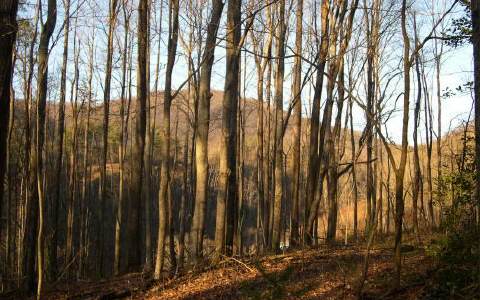 Stover Road Andrews, NC 28901 - Photo 1 of 1 Main View