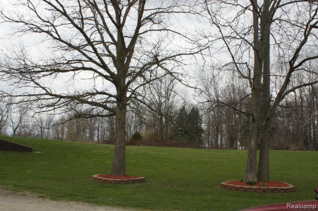 11725 Rynn Road Emmett, MI 48022 - Photo 3 of 33 front side yard