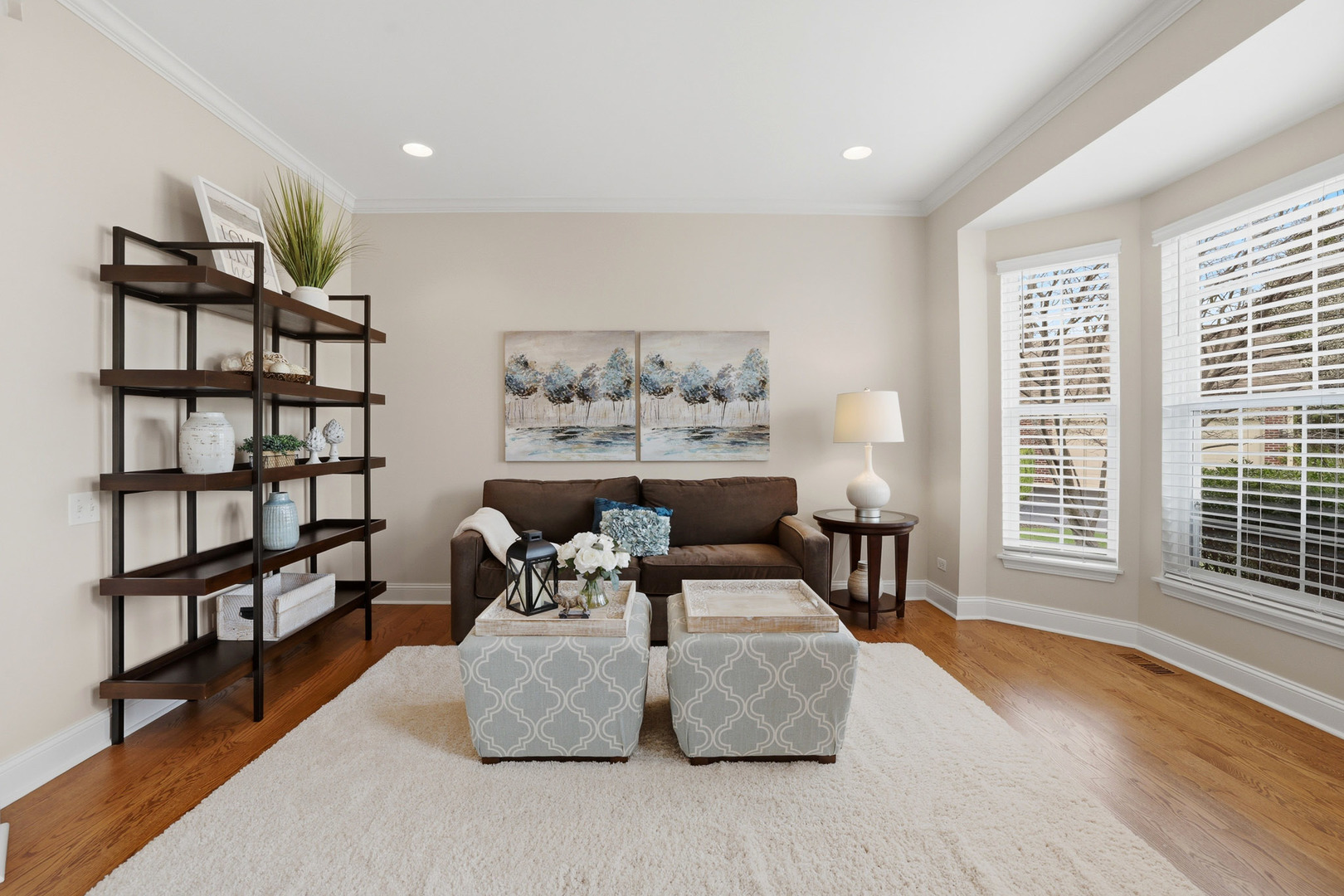 6 Reedsworth Court Algonquin, IL 60102 - Photo 4 of 41