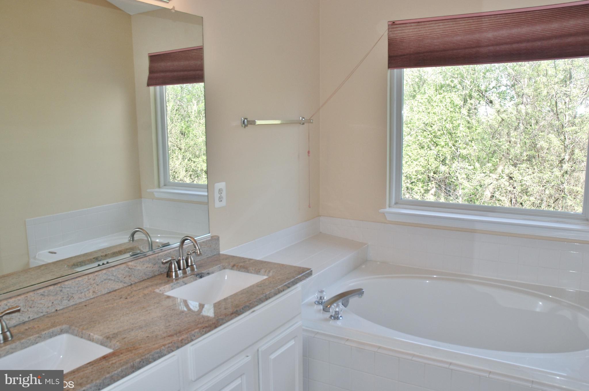 2917 St Helen Circle Silver Spring, MD 20906 - Photo 16 of 30 MASTER BATHROOM WITH GARDEN TUB