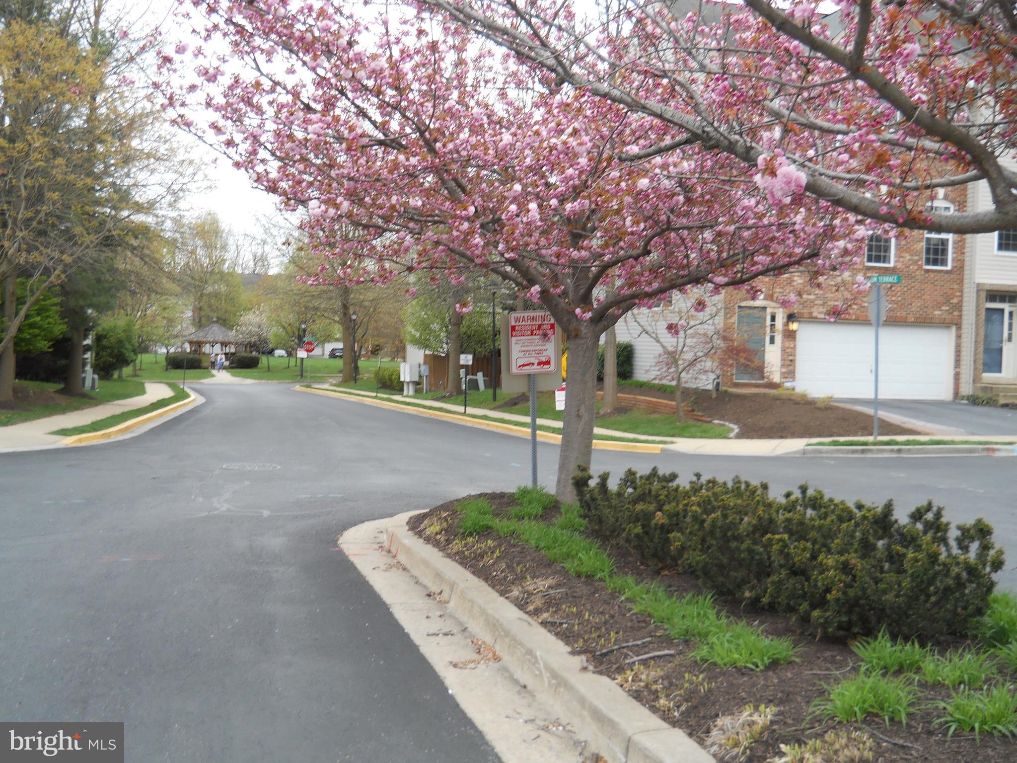 2917 St Helen Circle Silver Spring, MD 20906 - Photo 29 of 30 ENTRANCE TO THE COMMUNITY