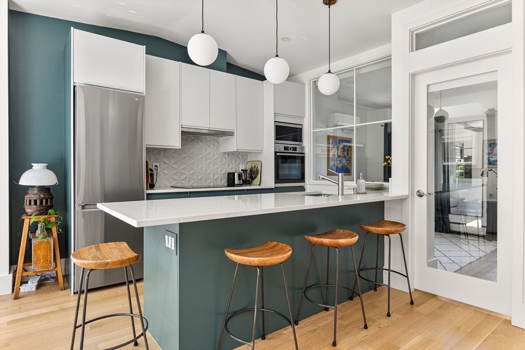 201 West Springfield Street, Unit 3 Boston, MA 02118 - Photo 5 of 32