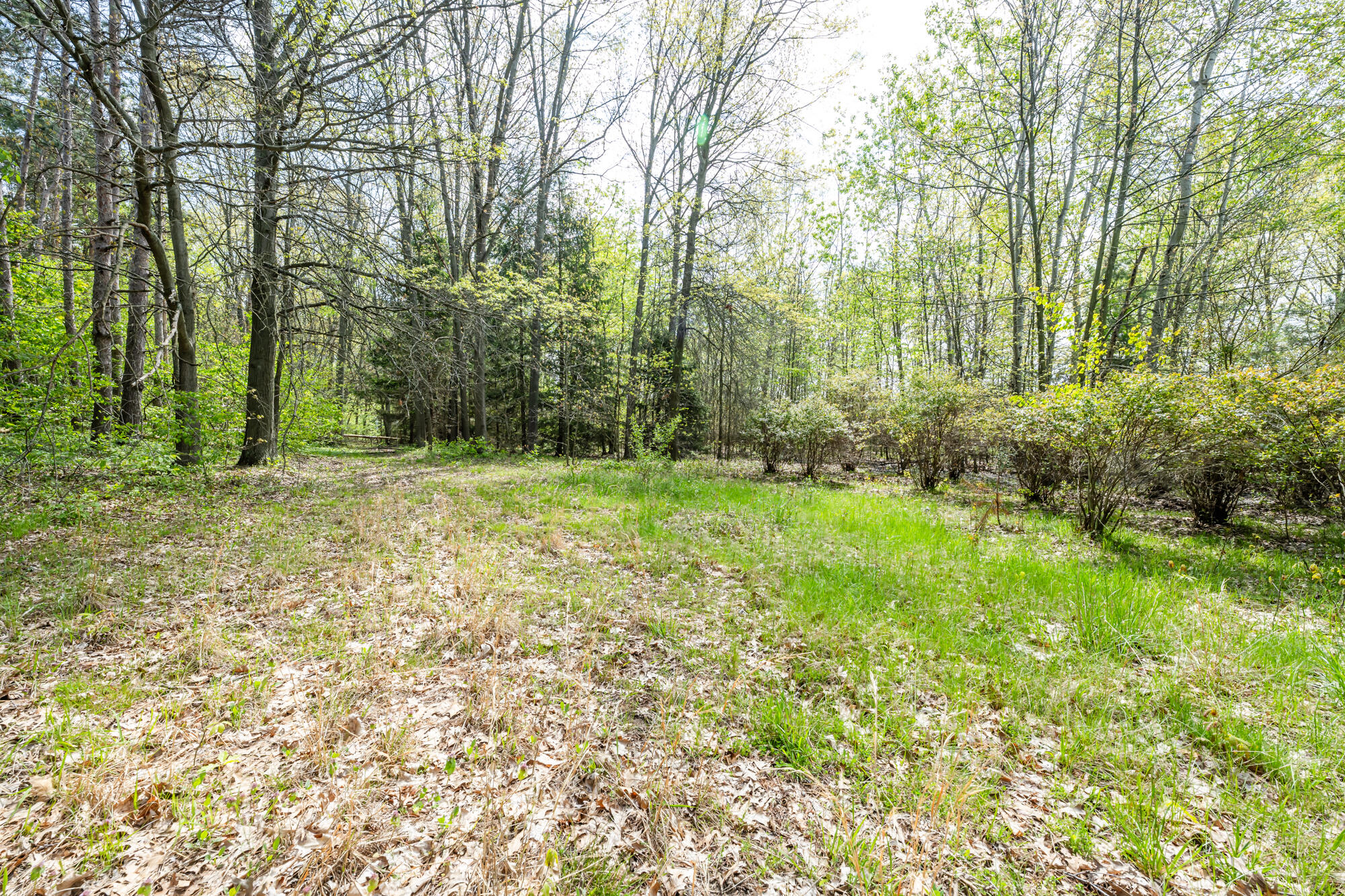 A Linke Road Bridgman, MI 49106 - Photo 8 of 24 Linke-215