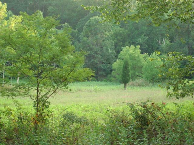 5652 Pike Road Montvale, VA 24122 - Photo 2 of 13 Meadow with abundant wildlife !