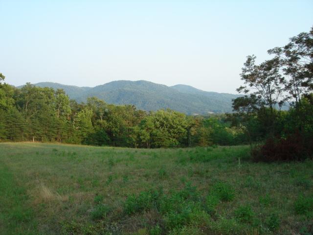 5652 Pike Road Montvale, VA 24122 - Photo 13 of 13 13