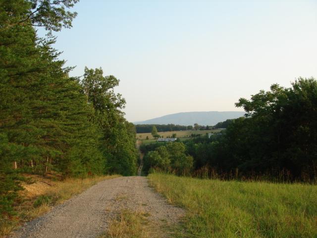 5652 Pike Road Montvale, VA 24122 - Photo 3 of 13 Road to back of property