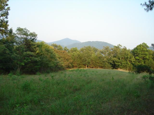 5652 Pike Road Montvale, VA 24122 - Photo 5 of 13 Back of property with nice building site