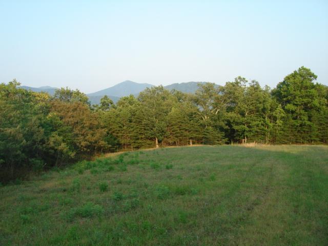5652 Pike Road Montvale, VA 24122 - Photo 10 of 13 10