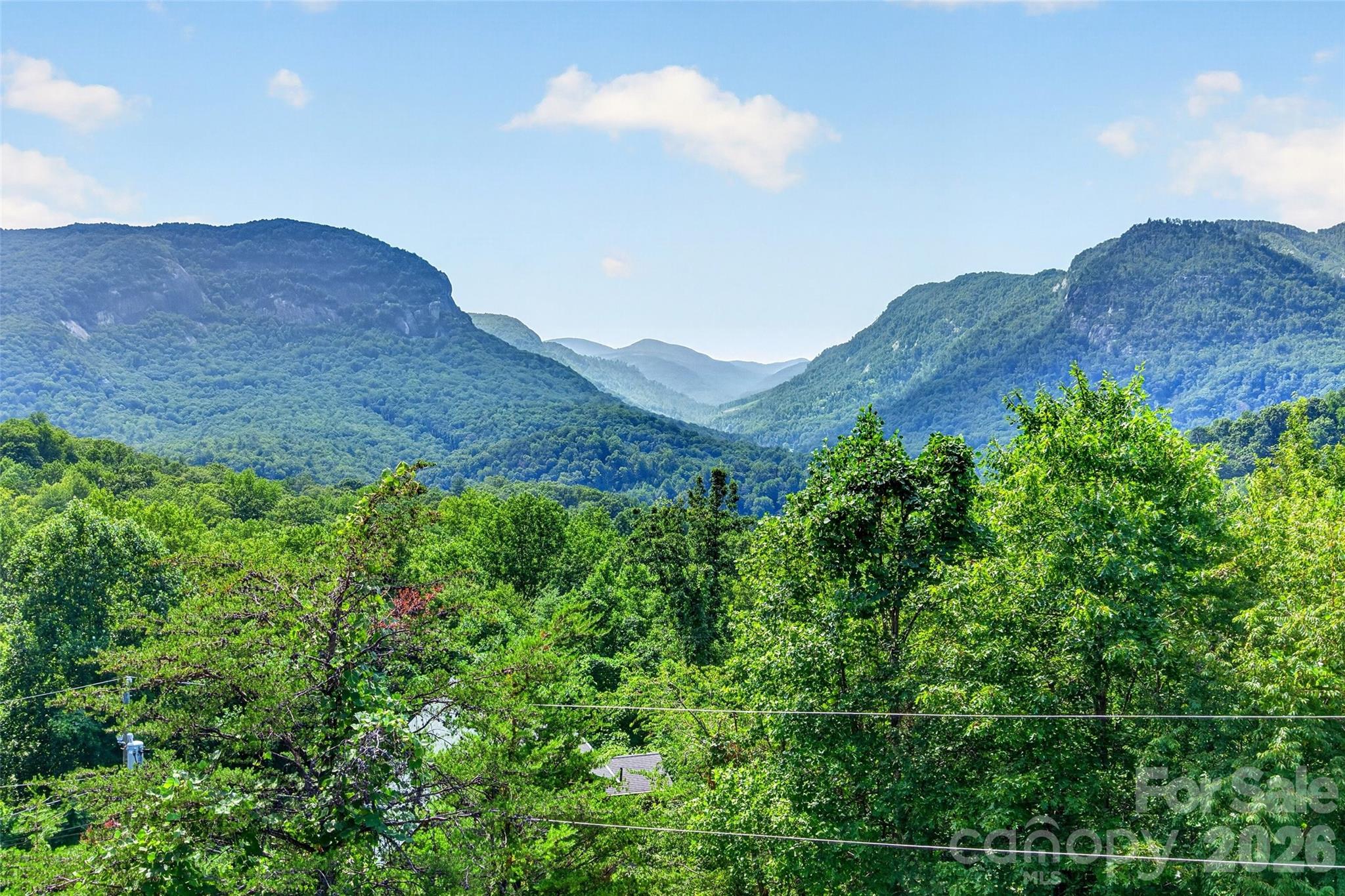 227 Sidney Lanier Road Lake Lure, NC 28746 - Photo 2 of 48