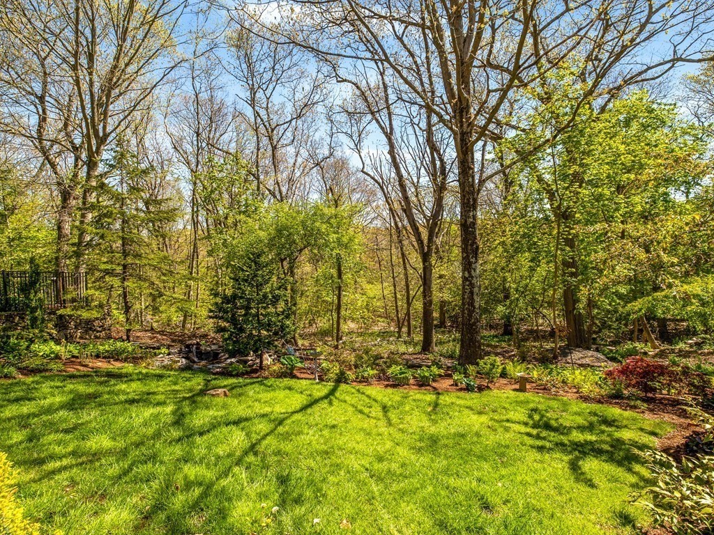 37 Crehore Road Boston, MA 02467 - Photo 24 of 30 a view of backyard with tree