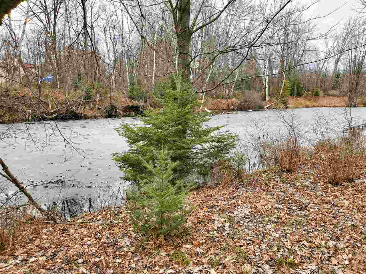 Lot 149 Larch Trail Lake, MI 48632 - Photo 1 of 6