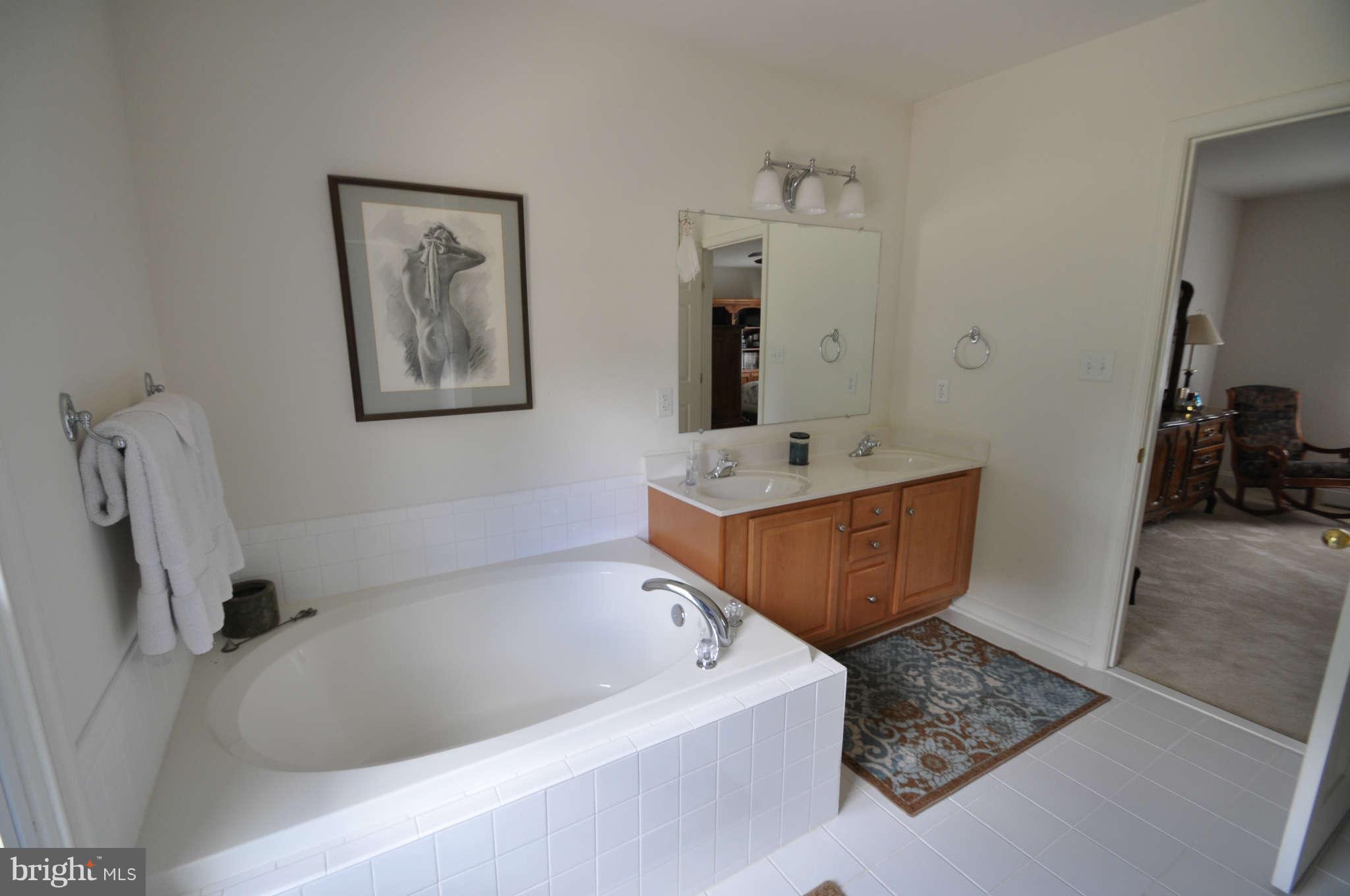 324 Kolbe Road Westminster, MD 21157 - Photo 6 of 11 SOAKING TUB FOR TWO DUAL VANITY SEPERATE SHOWER