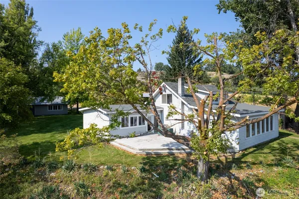 a view of a park with a tree