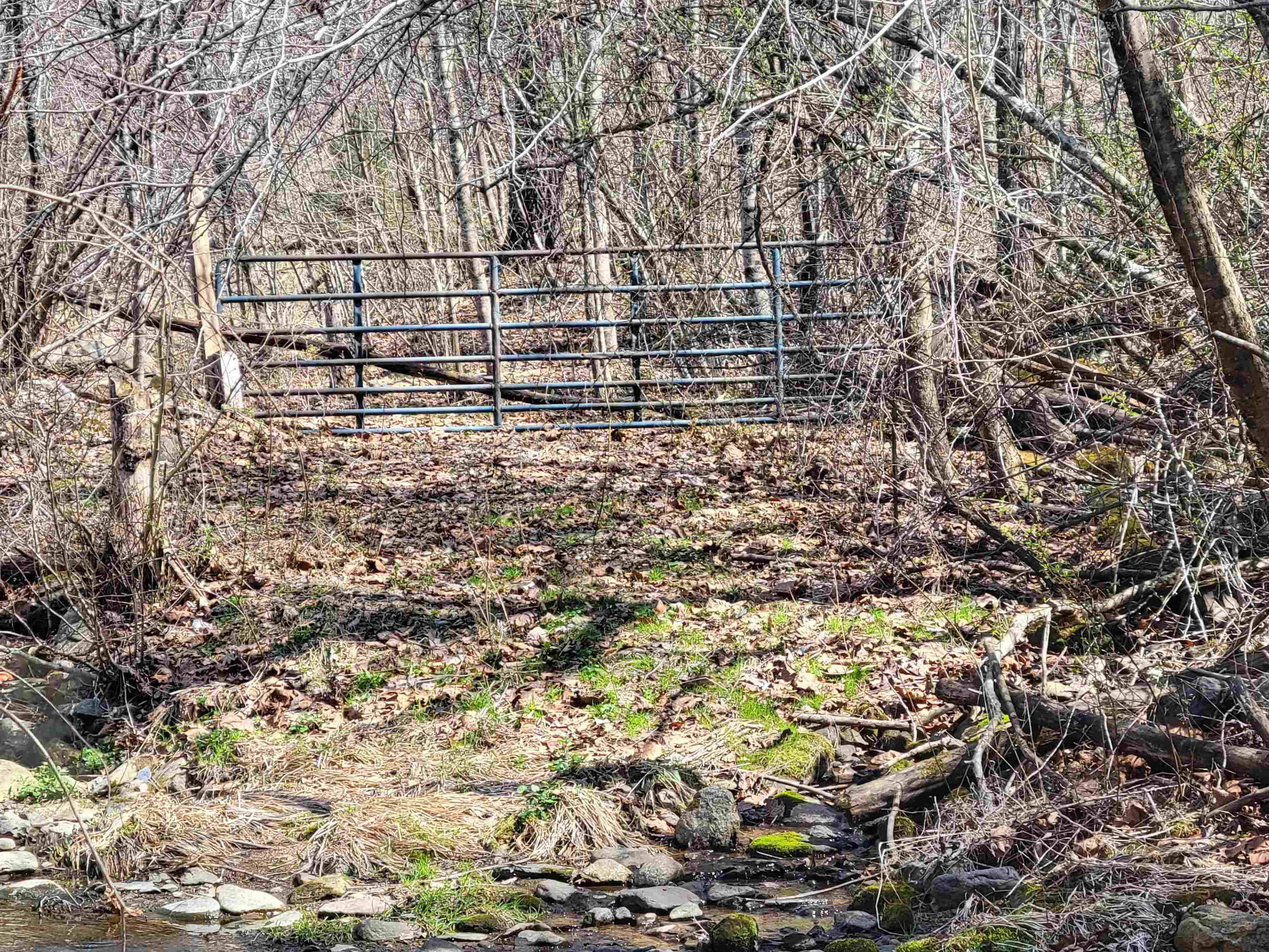 0 Weaver Road Elkton, VA 22827 - Photo 3 of 5 Gallery Image 3