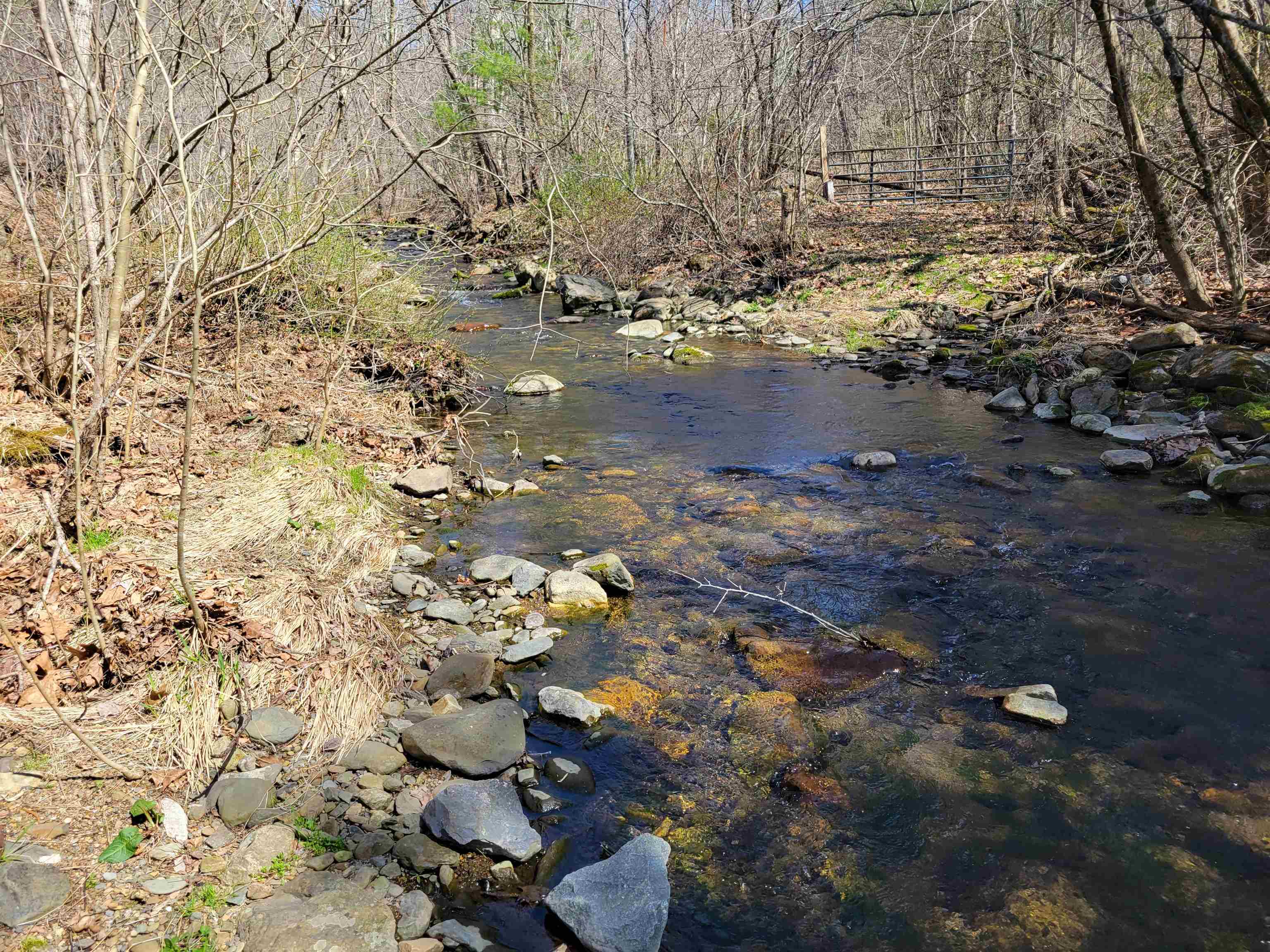 0 Weaver Road Elkton, VA 22827 - Photo 4 of 5 Gallery Image 4